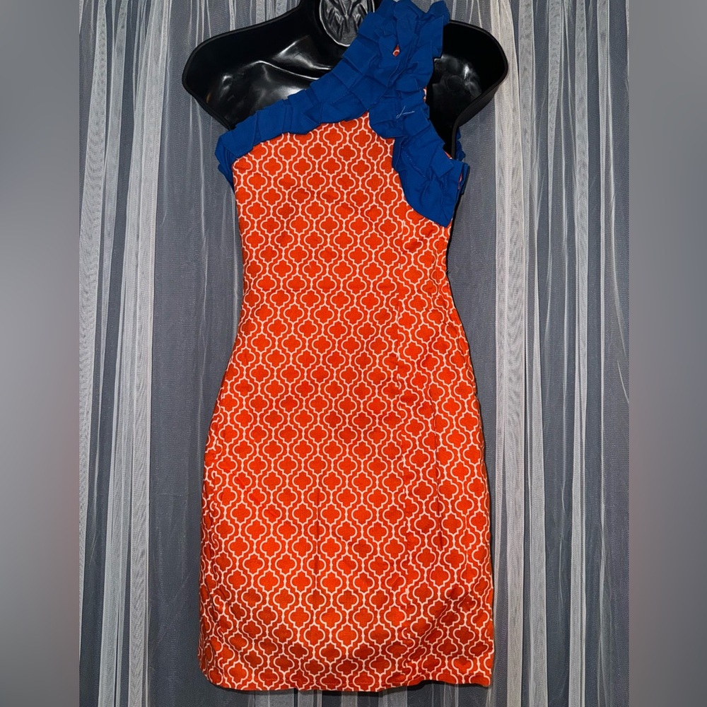 Natalie Kim Custom Florida Gators Gameday Dress - Picture 2 of 4